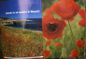 inserti-vittorio-giannella-fotografo-(6)