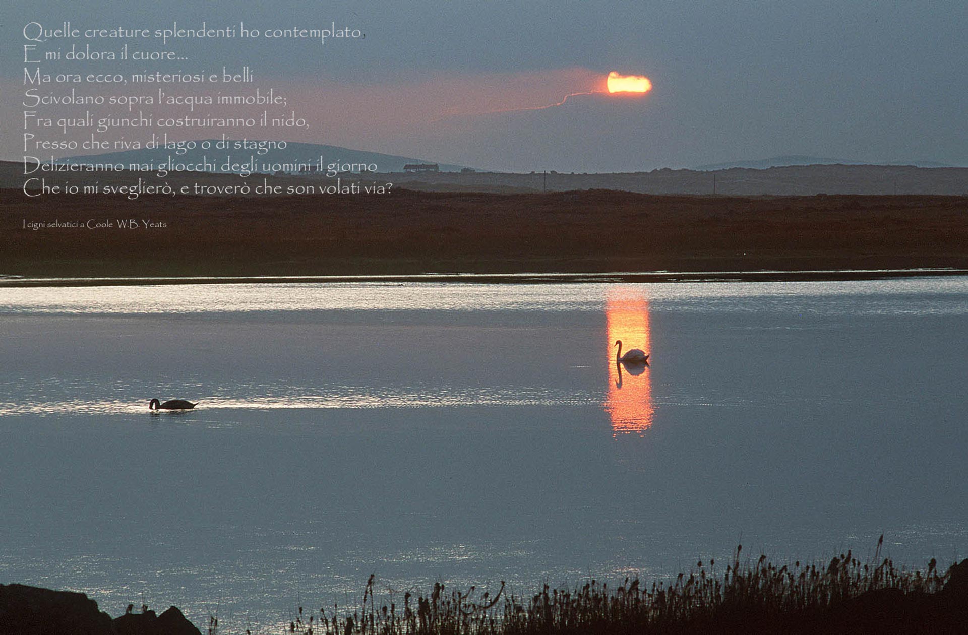 vittoriogiannella-quando fotografia fa rima con poesia (1)