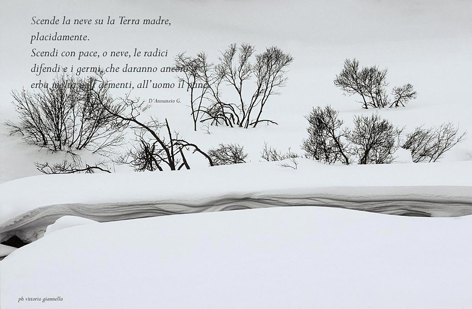 vittoriogiannella-quando fotografia fa rima con poesia (5)