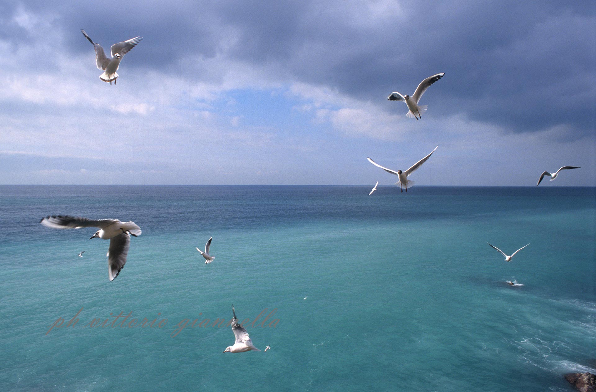 vittorio-giannella-appendiamole (13)