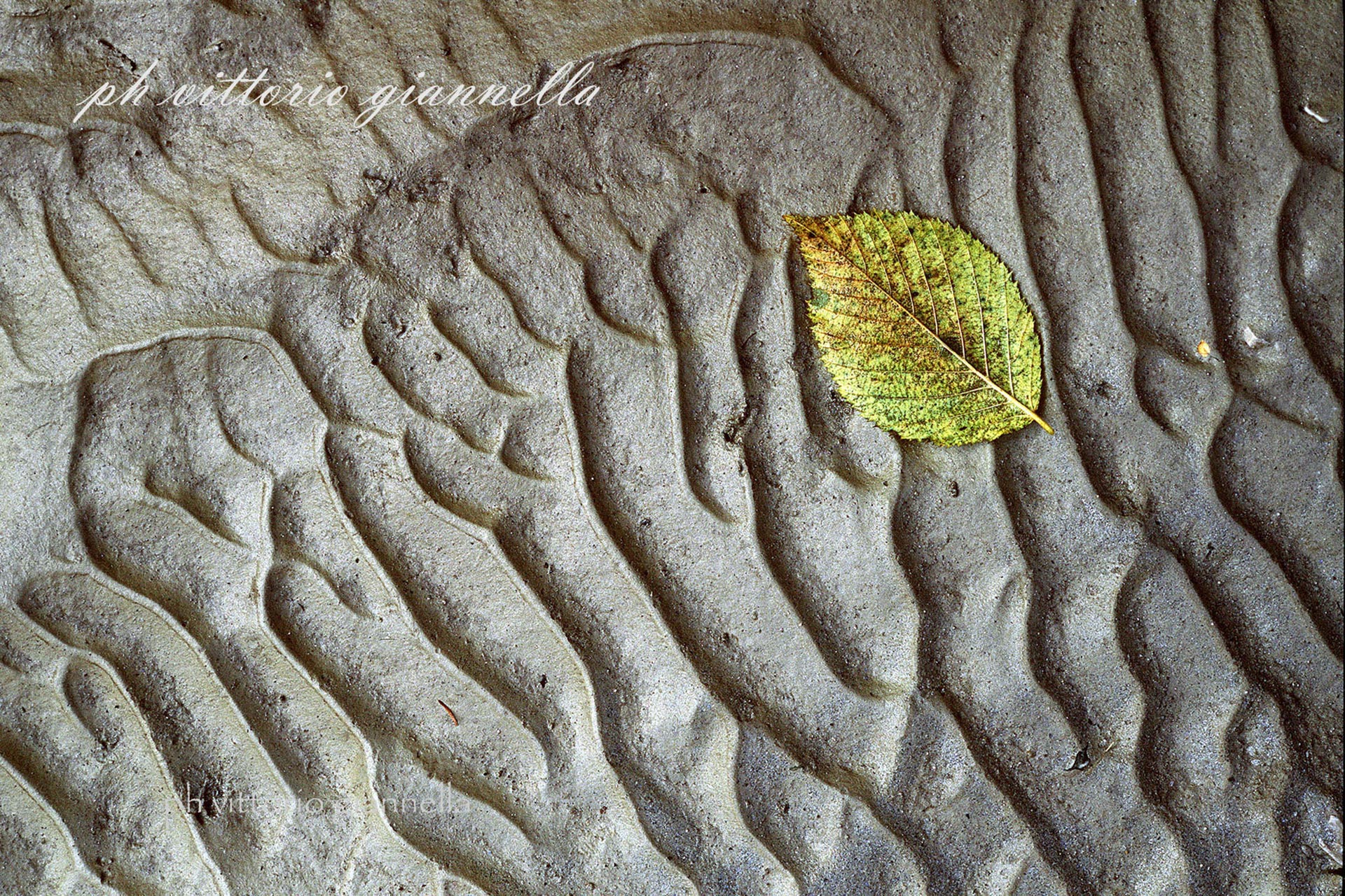 vittorio-giannella-appendiamole (19)