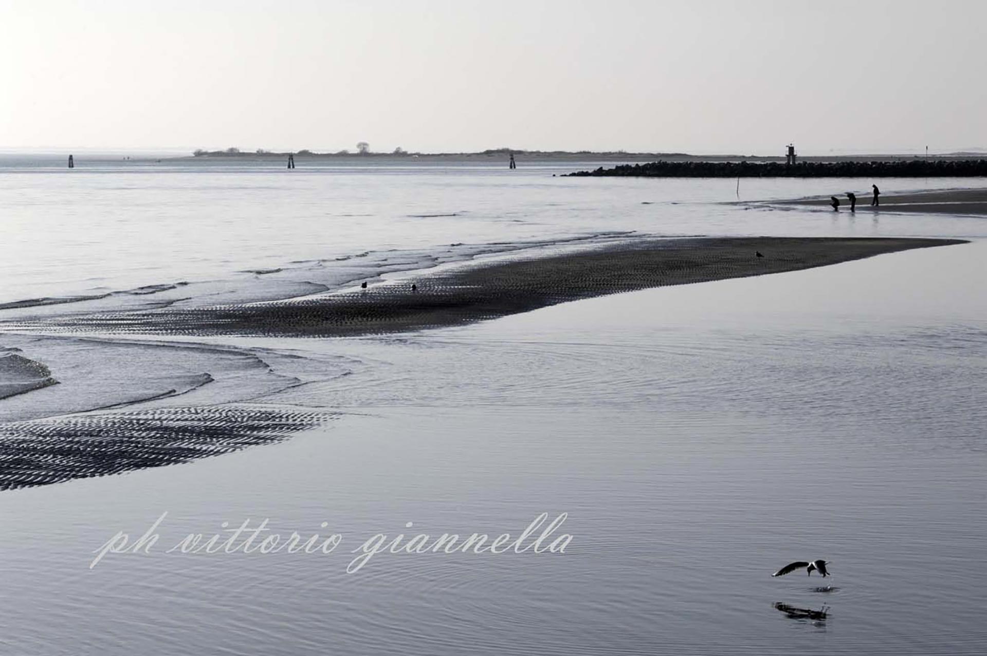 vittorio-giannella-appendiamole (23)