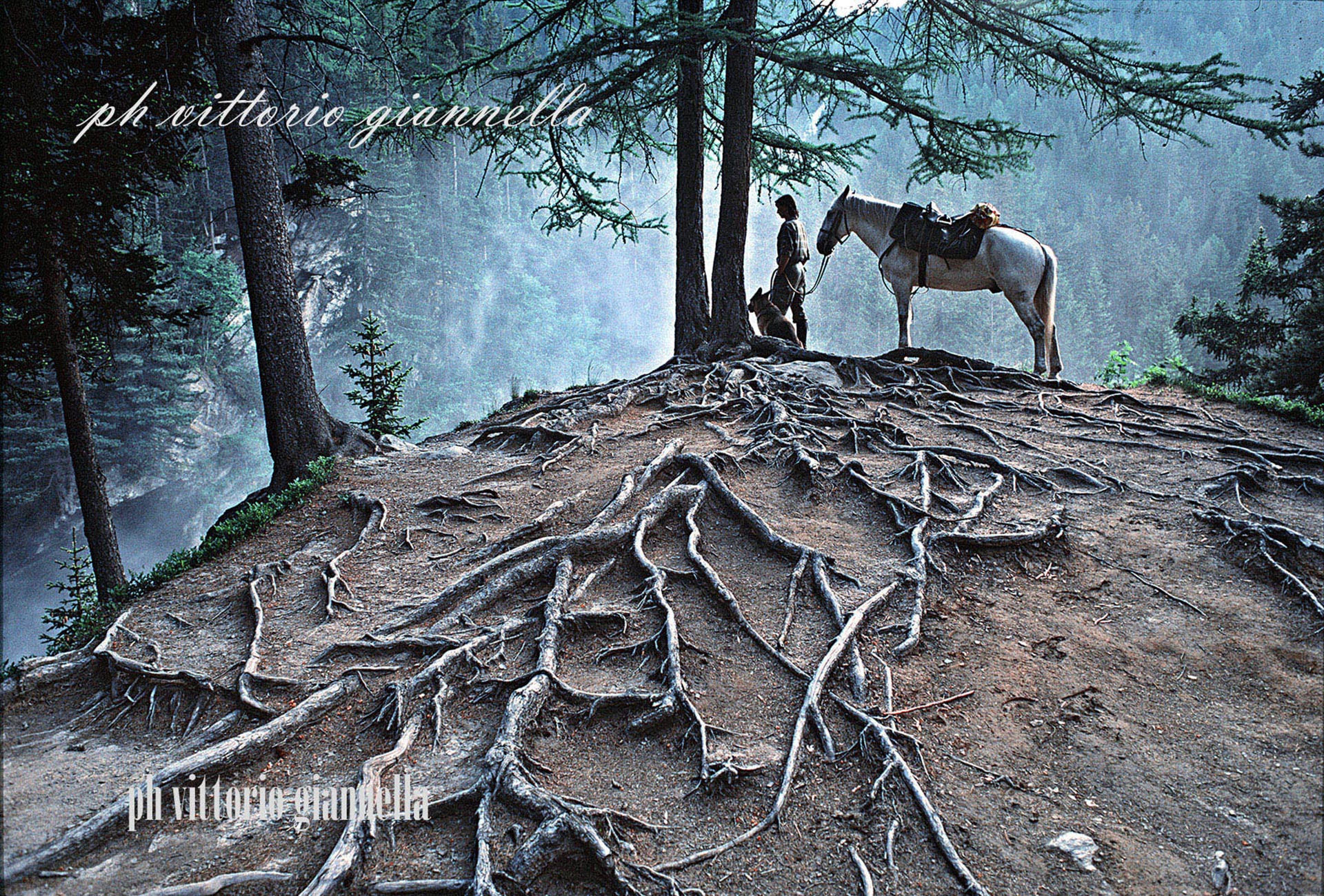 vittorio-giannella-appendiamole (26)