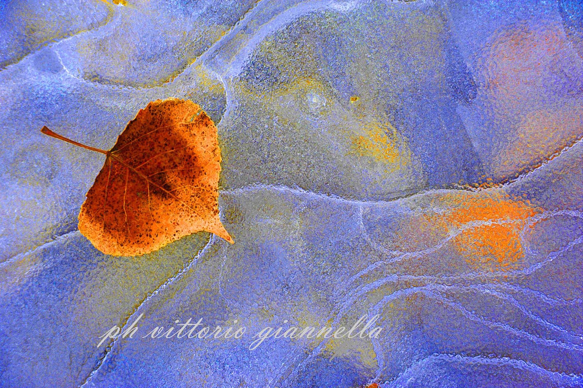 vittorio-giannella-appendiamole (29)