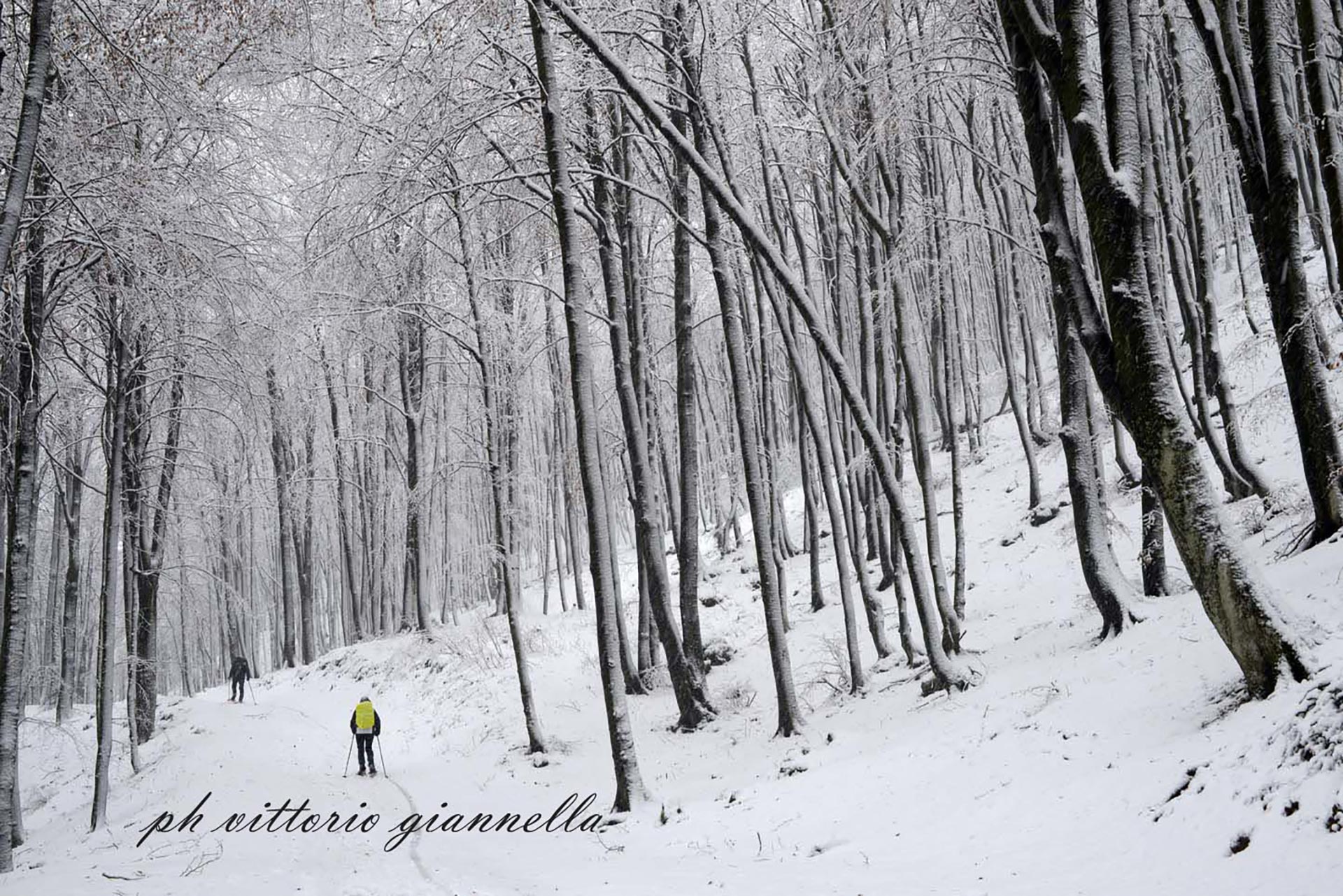 vittorio-giannella-appendiamole (9)